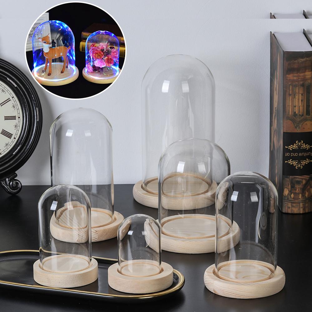 Ev Dekor Bitkileri Kavanoz Ter - Home Decor Flowers incelemesi ve fiyatı