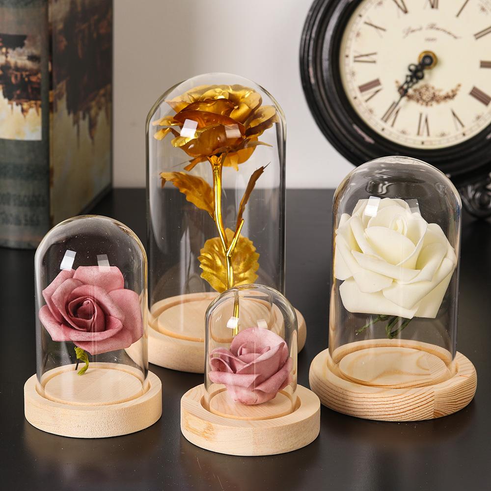 Ev Dekor Bitkileri Kavanoz Ter - Home Decor Flowers incelemesi ve fiyatı