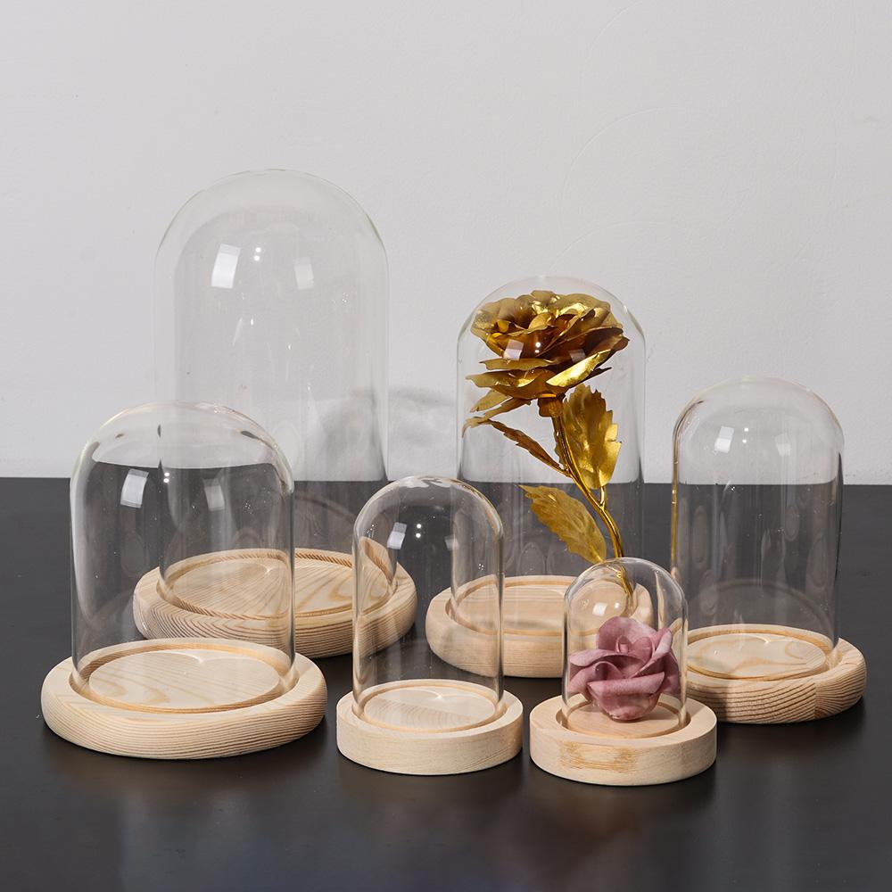 Ev Dekor Bitkileri Kavanoz Ter - Home Decor Flowers incelemesi ve fiyatı